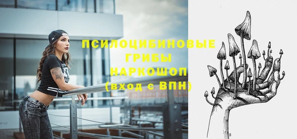 дурь Абаза