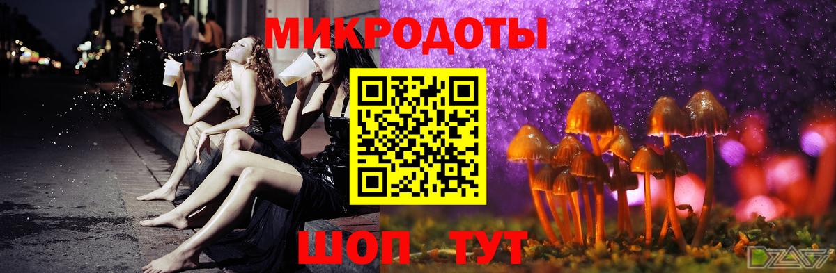 Камень-на-Оби  Псилоцибиновые грибы Magic Shrooms  Вход с VPN  Псилоцибиновые грибы Cubensis 